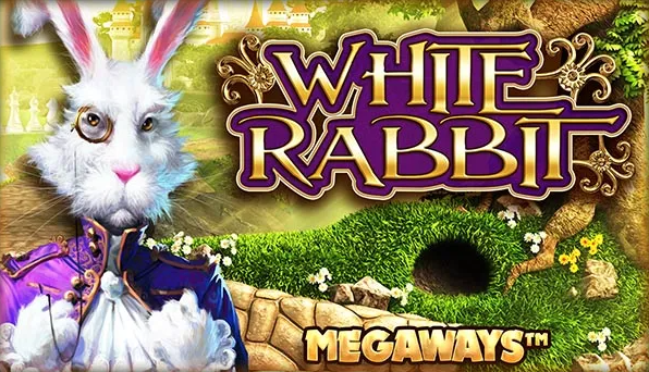 White rabbit